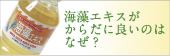 �C���G�L�X�����炾�ɗǂ��̂͂Ȃ��H